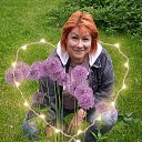 ���� ��������, ������, 61 ��� - ��������� 10 ���� 2022 � ������ ���� ����������