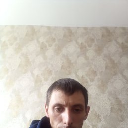 , 29, 