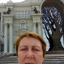 ���� �������, ��������������, 66 ��� - ��������� 27 ������ 2022