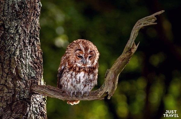 ���e � �e�a����e co��. �a ��o-�o �p������. #art #travel #world - 5