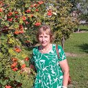 ���� �������, ������� - ��������� 12 ������� 2022 � ������ ���� ����������