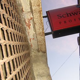 Anastasia, �����-���������, 47 ���