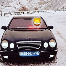 ���� �������, �����-���������, 27 ��� - ��������� 24 ���� 2022