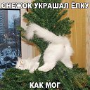 ���� �������, ��������� - ��������� 31 ������� 2022 � ������ ������ ��������
