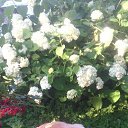 ���� �������, ������� ����, 51 ��� - ��������� 25 ������� 2022