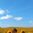 ���� �����, ���������, 53 ���� - ��������� 20 ������� 2022 � ������ ���� ����������