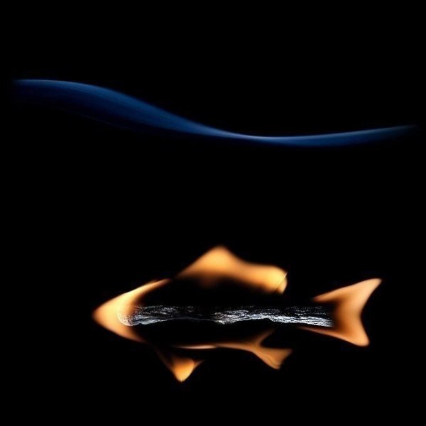    - 25  2022  00:56 - 6