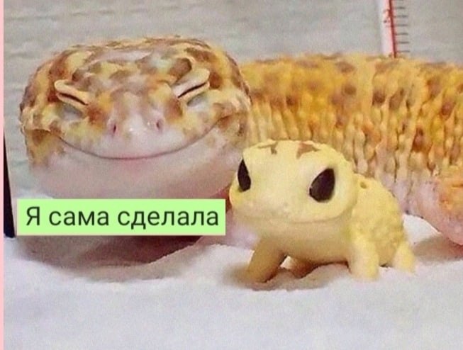   :D - 22  2022  08:59