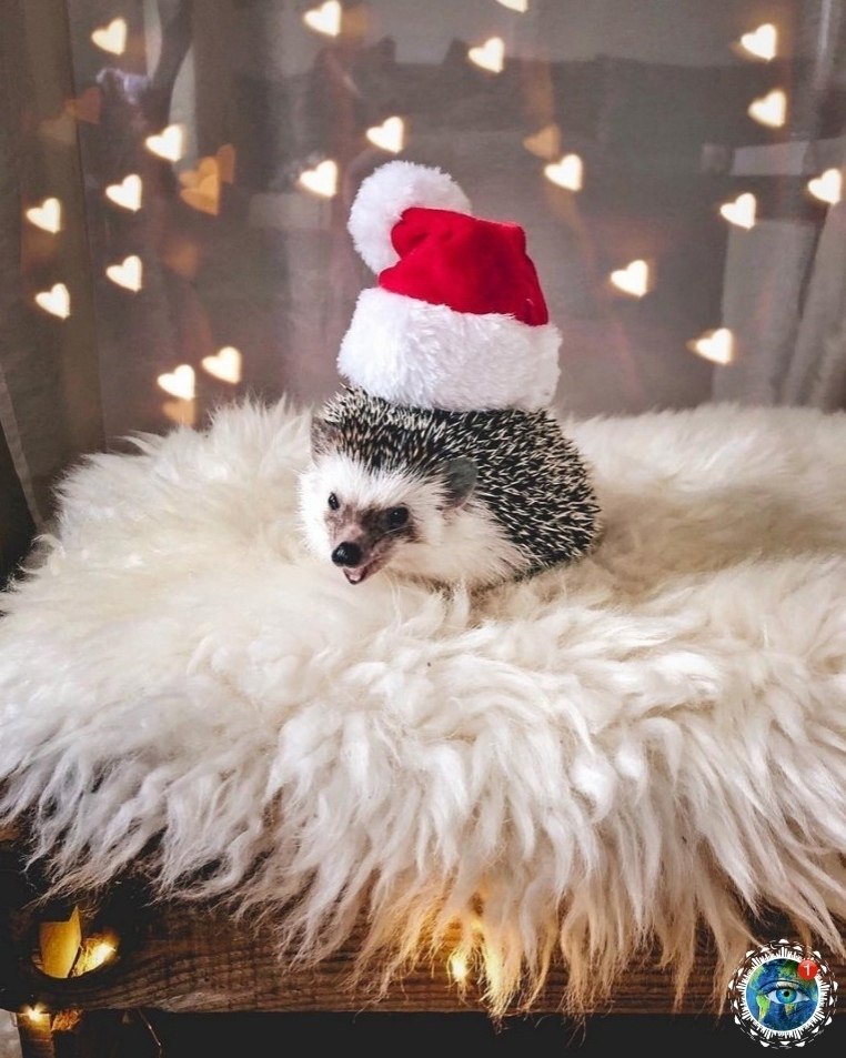 oc�o�p��e �a ��o ���o c �o����a��).���� ������������ ��� - 5