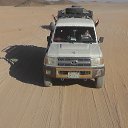 ���� ������, ����, 41 ��� - ��������� 16 ������� 2022 � ������ �������