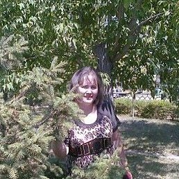 ������, ��������, 50 ���