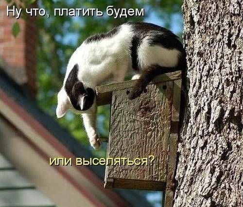 ��� �������� �������� - 22 ����� 2022 � 14:14