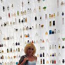 ���� ����� �����������, �������, 56 ��� - ��������� 8 ���� 2022 � ������ ���� ����������