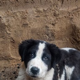 ���� ������, �������, 39 ��� - ��������� 24 ������ 2023