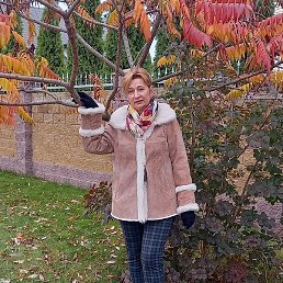 �����, �����, 66 ���