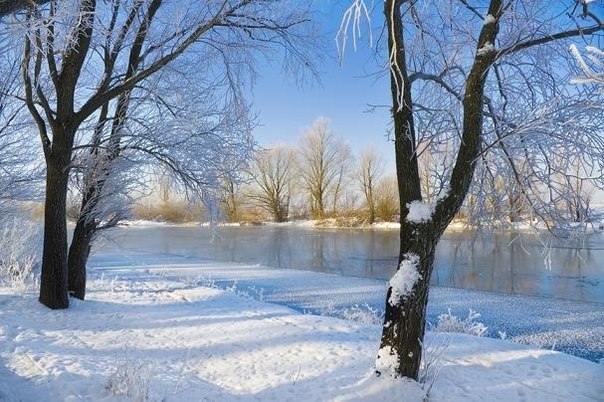 23 января – Григорий-летоуказатель. Тих Емельян миновал, жмет стужа, леденит снежную навись ...
