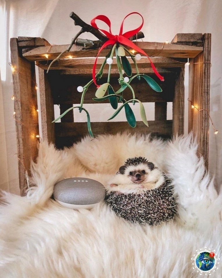 oc�o�p��e �a ��o ���o c �o����a��).���� ������������ ��� - 6