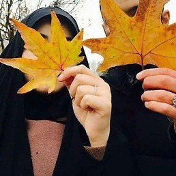 Avazbek, �����������, 36 ���