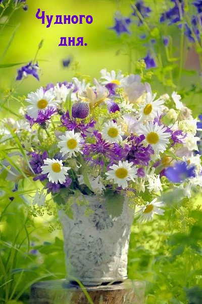   ,    . - 18  2022  14:35