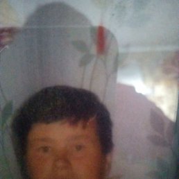 ���� ����, ������, 61 ��� - ��������� 15 ������� 2022