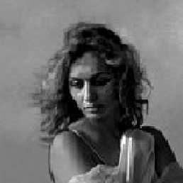 ������, �����������