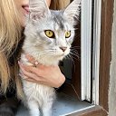 ���� ������, ������, 23 ���� - ��������� 24 ������ 2022 � ������ ���� ����������