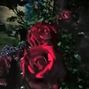 ���� �������, ������-��-����, 62 ���� - ��������� 17 ������ 2022