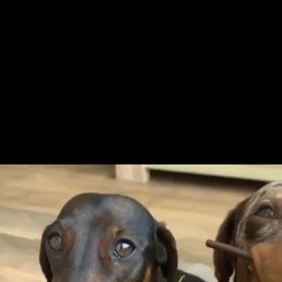 ���� ��������, �������, 55 ��� - ��������� 1 ������ 2022