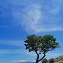 ���� �������, ������� ���� - ��������� 17 ������ 2022 � ������ �����