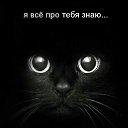 ���� Alex, ������, 31 ��� - ��������� 2 ���� 2022 � ������ ���� ����������