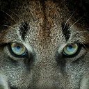 ���� ���, �����, 27 ��� - ��������� 9 ������ 2023