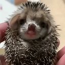 ���� �������, ������, 44 ���� - ��������� 23 ������� 2022