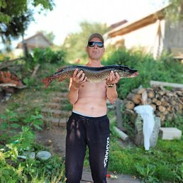 �������, ������, 49 ���