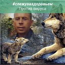 ���� ������, ���������, 52 ���� - ��������� 11 ������� 2023