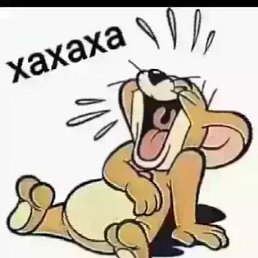 ������, ������, 29 ���