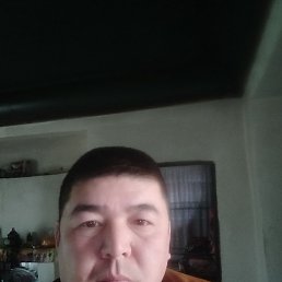 �����, �����-���������, 46 ���