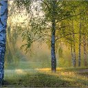 ���� �����, ������, 40 ��� - ��������� 21 ������� 2022 � ������ ���� ����������