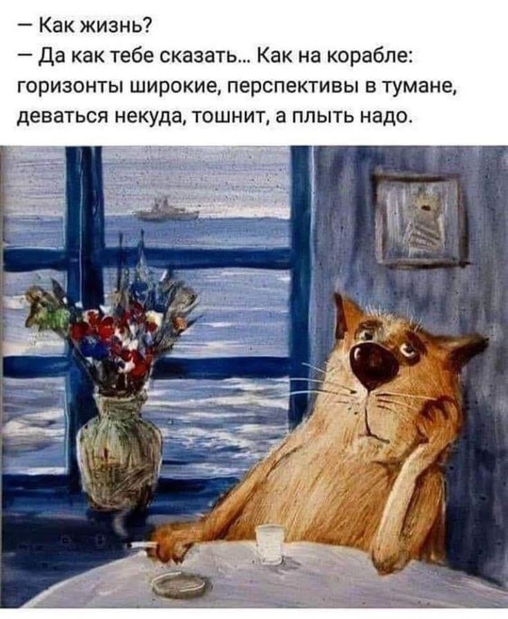   ! - 14  2022  06:43