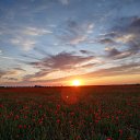 ���� �������� 124 ��, ����������� - ��������� 27 ��� 2022 � ������ ���� ����������