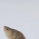 ���� ������, ������� ����, 48 ��� - ��������� 17 ������� 2023