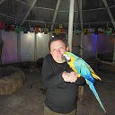  , -, 65  -  29  2022    