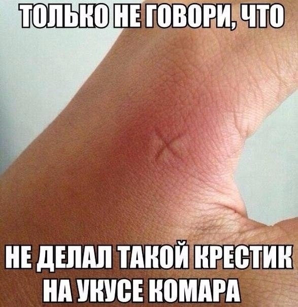 ☆☆☆ ���� XX ���� ☆☆☆ - 24 ������ 2023 � 08:52