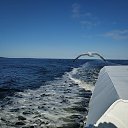 ���� �������, ������, 40 ��� - ��������� 12 ������� 2022 � ������ ���� ����������