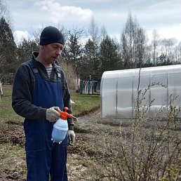 ������, ���������, 54 ����