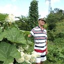 ���� �����, �����������, 53 ���� - ��������� 15 �������� 2022 � ������ ���� ����������