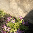 ���� ���� ��������, ������, 52 ���� - ��������� 4 ������ 2022 � ������ ���� ������