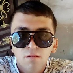 �����, �����-���������, 31 ���