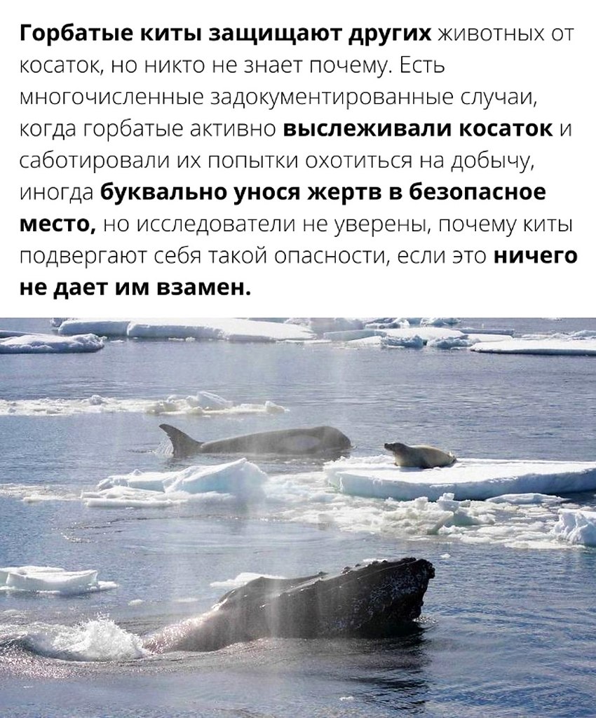 Discovery - 15  2022  17:29