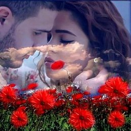 ����, �������, 52 ����