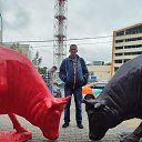 ���� �����, ������, 49 ��� - ��������� 17 ������ 2022 � ������ ���� ����������